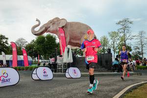 BIB: 
                            <button type="button" onclick="openModal(26529066)" class="btn btn-primary btn-sm float-right btn-popup" data-toggle="modal" data-target=".modal-high-quality">
                        <i class="fas fa-shopping-cart"></i> Add to Cart
                    </button>
                                            <button type="button" onclick="isThisMe(26529066, true)" class="btn btn-success btn-sm float-right btn-popup btn-isme hidden" data-toggle="tooltip" data-placement="bottom" title="นี่คือรูปของคุณใช่ไหม คลิกที่นี่เพื่อเอาเข้าอัลบั้ม">
                        <i class="fas fa-plus"></i> Add to album
                    </button>
                    <button type="button" onclick="isThisMe(26529066, false)" class="btn btn-warning btn-sm float-right btn-popup btn-isnotme hidden">
                        <i class="fas fa-ban"></i> Remove from album
                    </button>